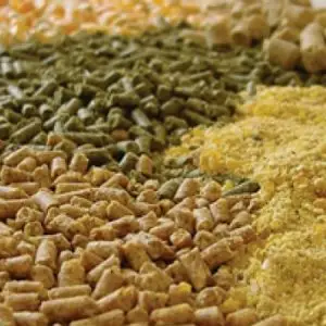 Combo ZMix AF iT + ZMix DM iT